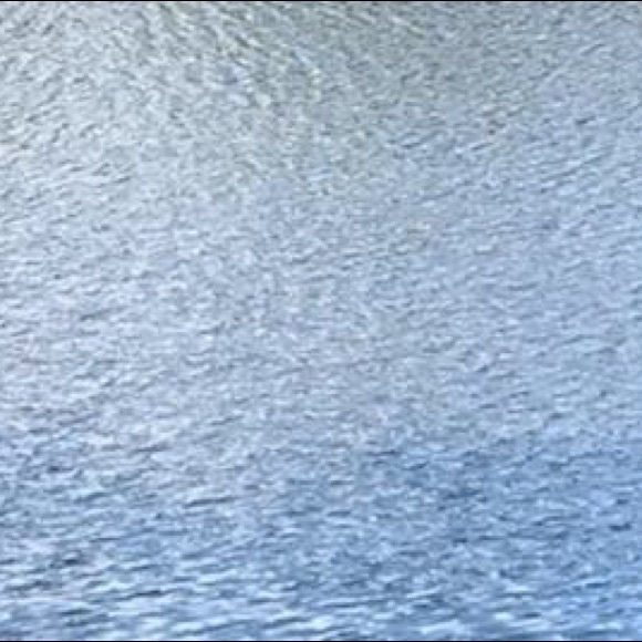 Meet your Posher, Louis - Picture 1 of 1